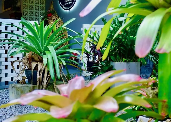 The Nature House Aonang Krabi Thailand